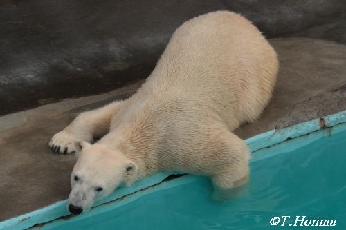 誕生日のキロル君の写真を少しだけ