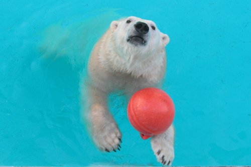 2月9日のキロル　浜松市動物園