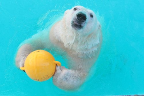 ３月２１日のキロル　浜松市動物園