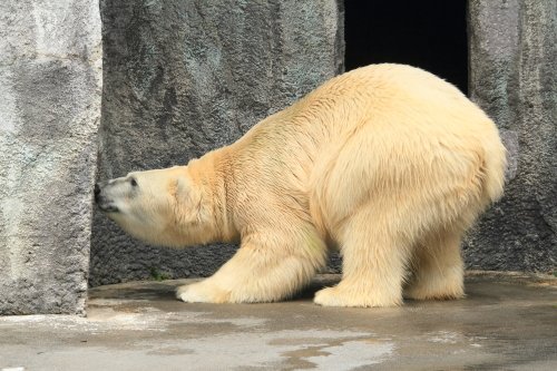 ７月５日のキロル　浜松市動物園　その２