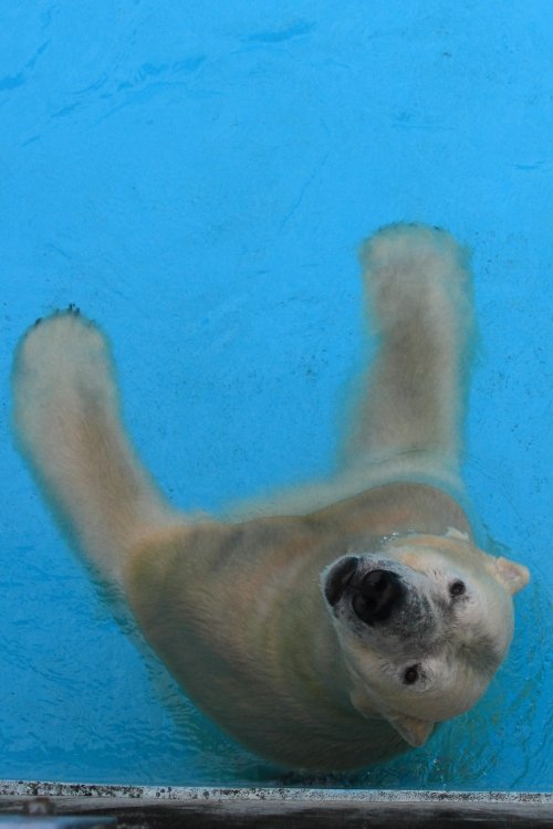 ９月２０日のキロル　浜松市動物園