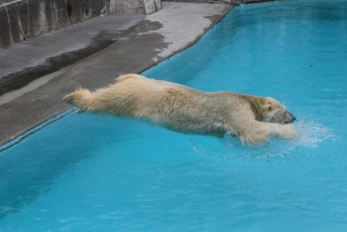 ９月２０日のキロル　午前中　浜松市動物園