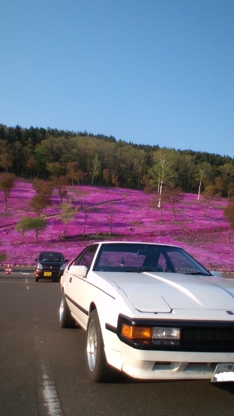 『ぶら鉄矢(芝桜！)』・・・in鉄矢家