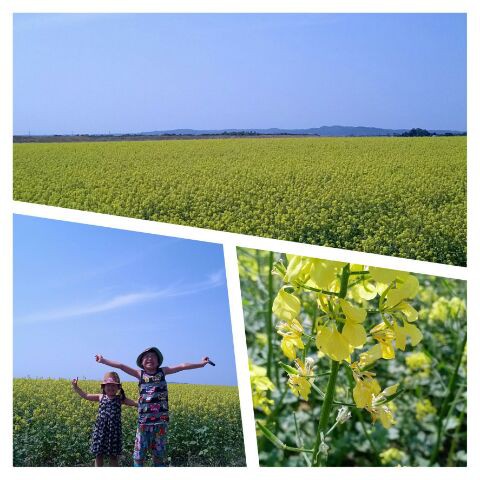 もりもり盛り沢山のありがとう～♪