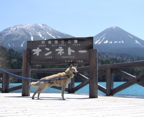 訴えないでね♪