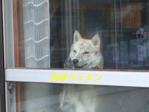 ウチで一番暖かいのはトイレだった！