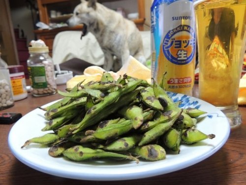 焼き枝豆は美味しいんだよ♪