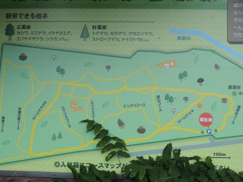 気楽な散策路　～国見山～