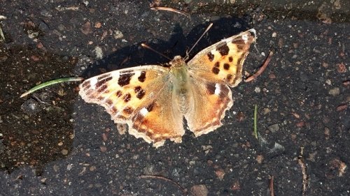 春の陽気に誘われて♪