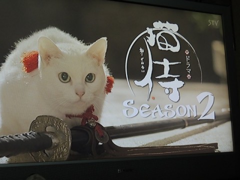 猫侍season2