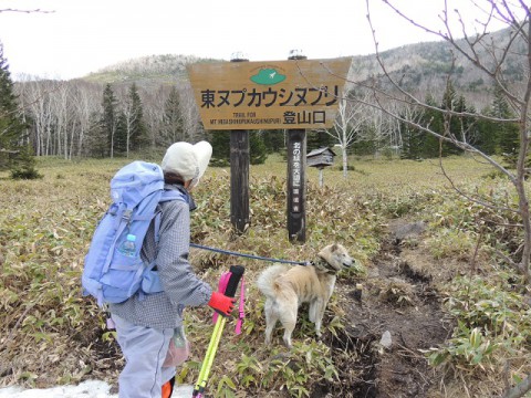 東ヌプカウシヌプリ。　シャリバテ登山(笑)