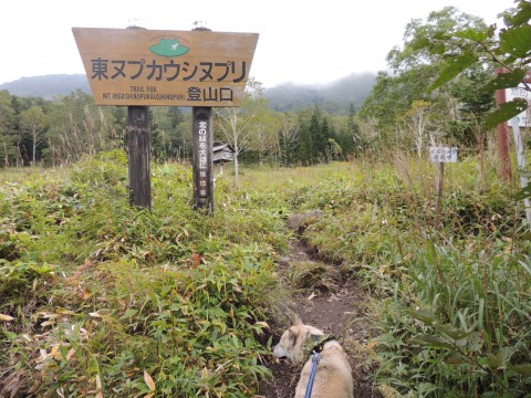 ナッキーに会ってきた♪