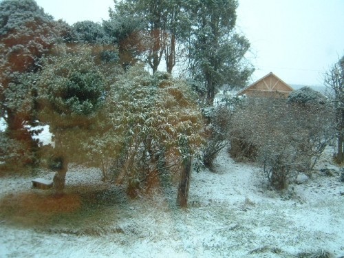 雪が　降って　います。