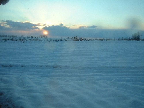 重いです、雪！