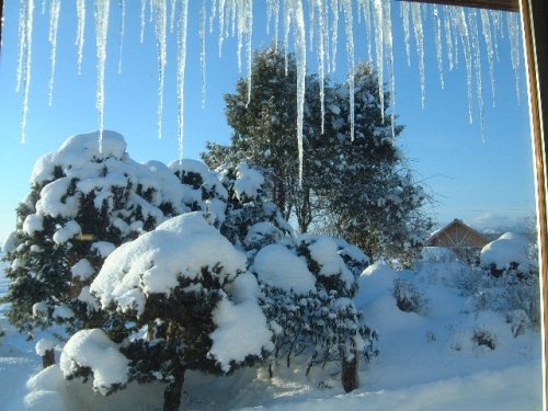 餅つき・除雪・・さすがにダウン！