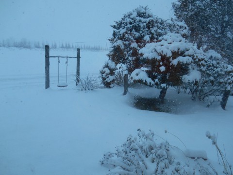 雪が降る・・・・山に近いのでいきなり20センチ!