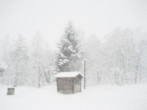 雪のミーナ