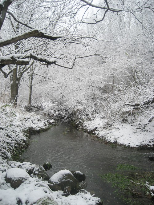 雪景色は突然に。