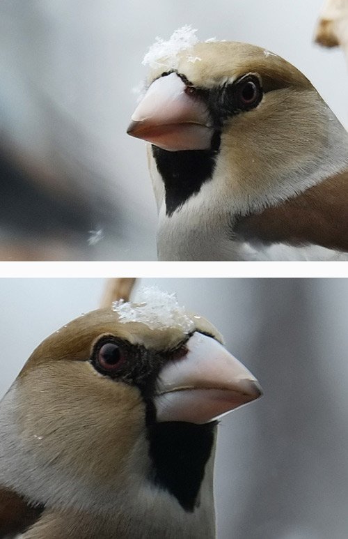 ヘアカタログ。