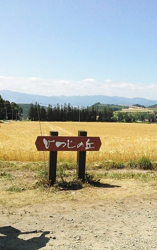 富良野、美瑛へ部活動の旅♪