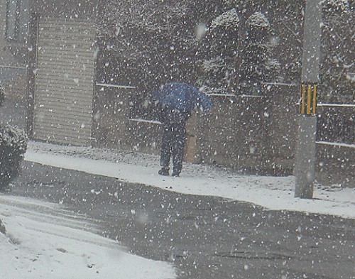 雪の中