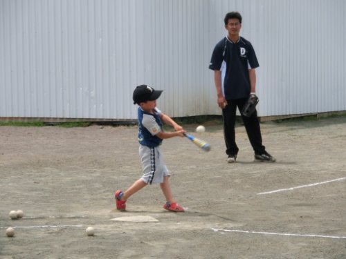 本日は