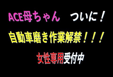 本日は自動車磨きの　下処理作業　水垢編