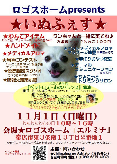 わんちゃんと一緒の参加型イベントです