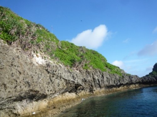 ハイサイ！沖縄～海に潜ってみたら　旅日記　その④