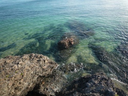 ハイサイ！沖縄～旅の終わり・首里城　旅日記⑦