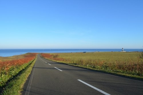 　朝７時半の水平線・能取岬　散策①