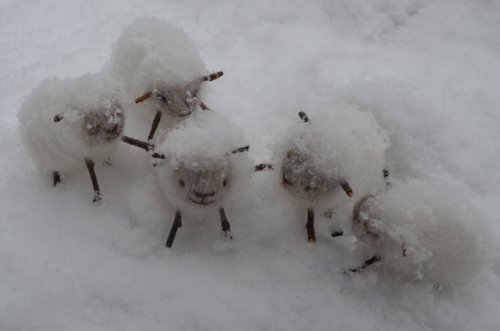 　雪ふって　メーメーさんと＾＾