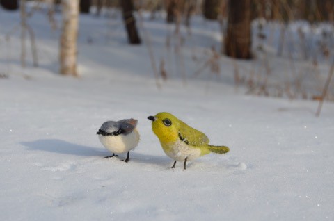 羊毛フェルトの　メジロとゴジュウカラ　