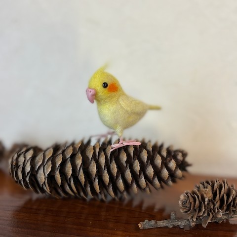 オカメインコの　ちぃさいピーちゃん　∧( 'Θ' )∧