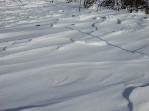 遭難しそうです！！(゜ロ゜ノ)ノ