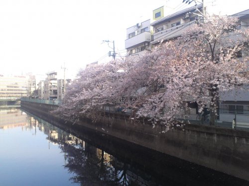 ありがとう2012年度と新しい活動のお知らせ