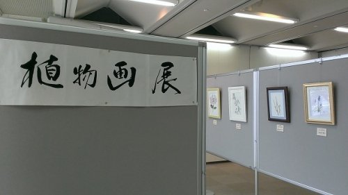 植物画展