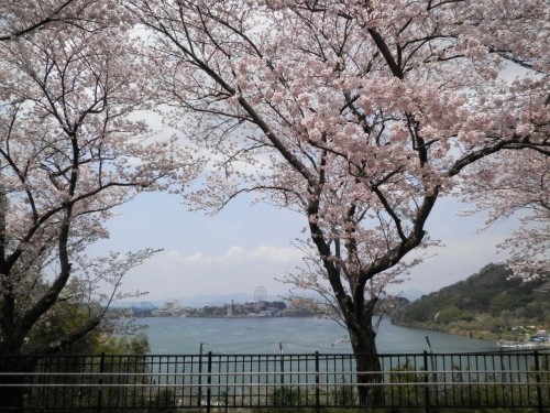 4月10日　キロルに会いに浜松へ行ってきた