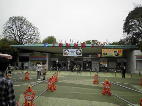 上野動物園に行ってきた