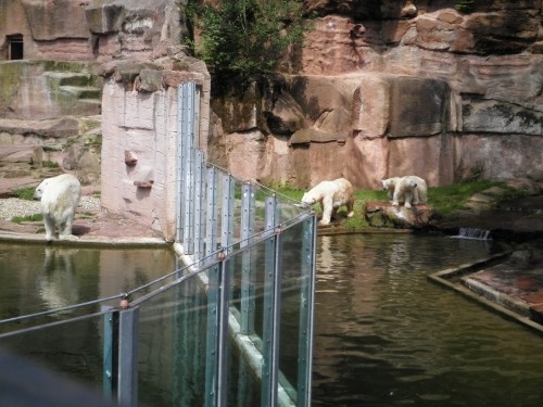 双子の両親と姉の影　ニュルンベルク動物公園　８月８日