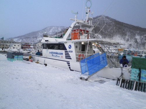 今冬の北海道の思い出～道東編～