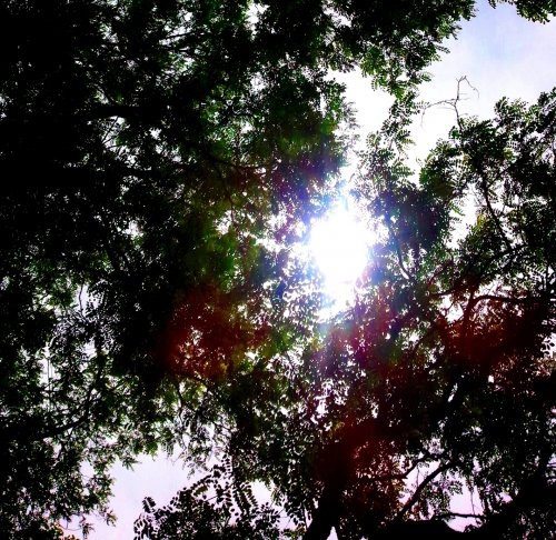 雨上がりの空