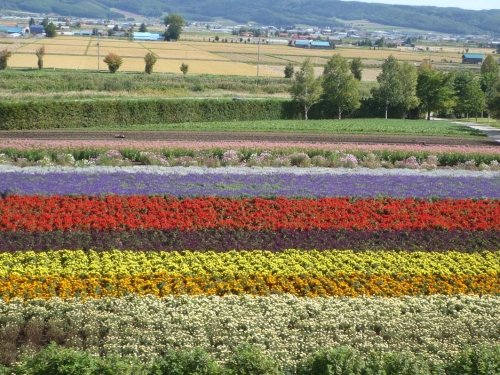 ポンテ一家　富良野へ・・・　その１