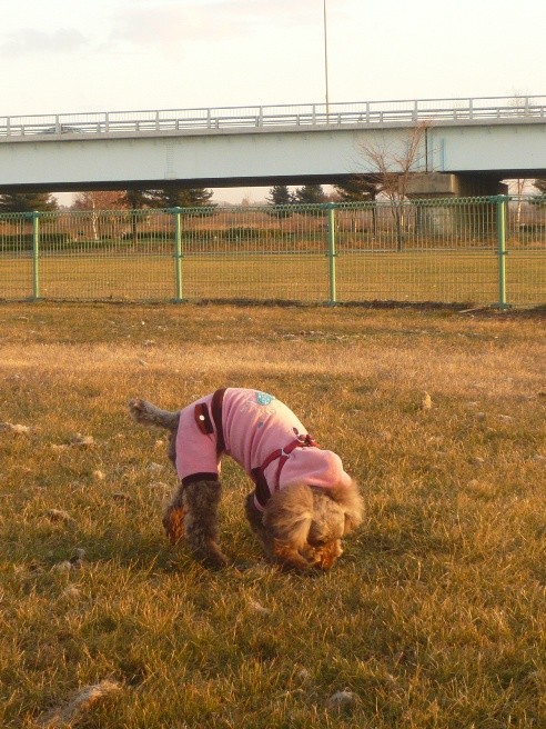 有意義な休日の過ごし方・・・