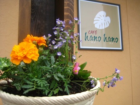 CAFE　hanohano　です　入り口にお花を飾りました♪