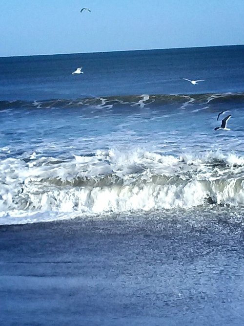 ワカサギ釣りと冬の海♪