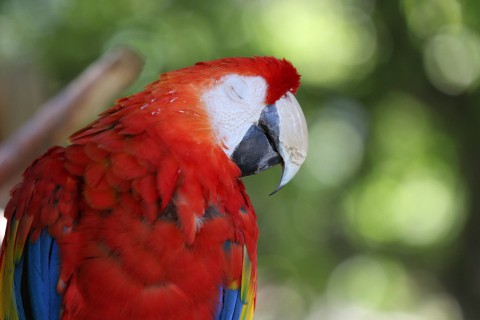 おびひろ動物園