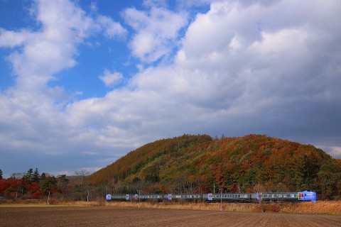 秋の強風