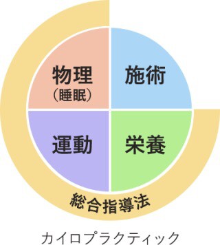 美姿勢運動講座、講義作成