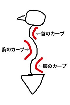 明日になりました「美姿勢運動講座」